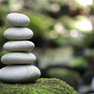 Movement & Awareness Based Solutions to Pain